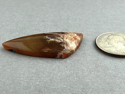 Condor Sagenite Agate Cabochon | Chalcedony from Patagonia Argentina | AG308 - Gem Enthusiast