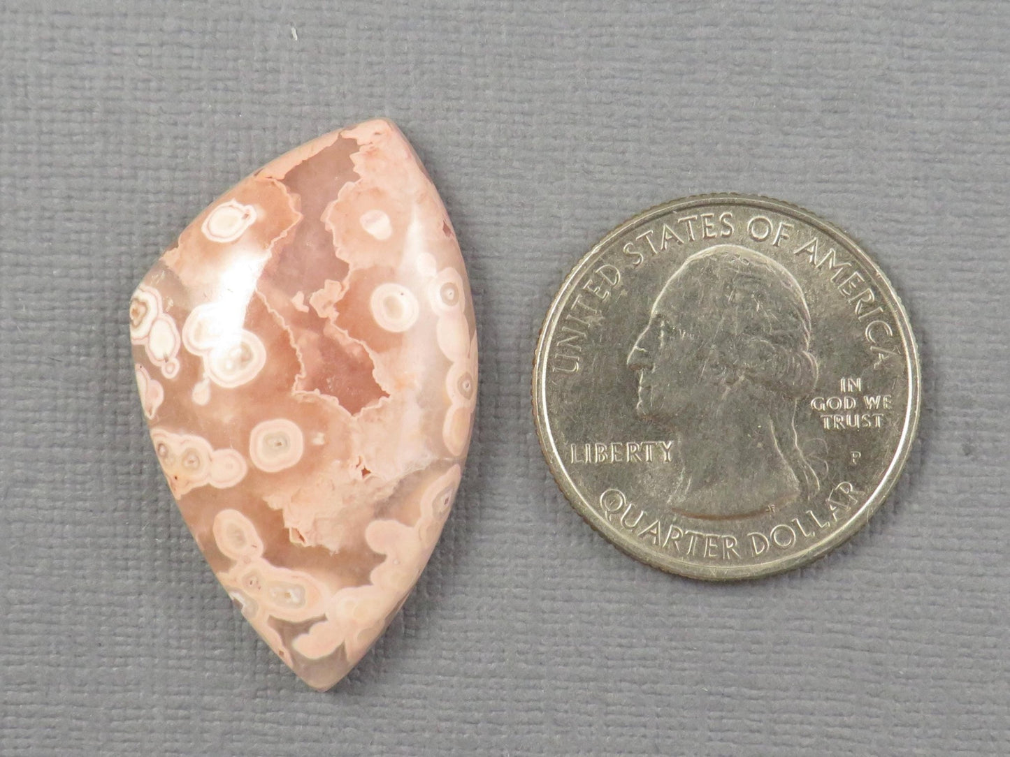 Crazy Lace Agate Cabochon | 36x22mm, 32.3ct | Indonesia | AG395 - Gem Enthusiast