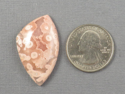 Crazy Lace Agate Cabochon | 36x22mm, 32.3ct | Indonesia | AG395 - Gem Enthusiast