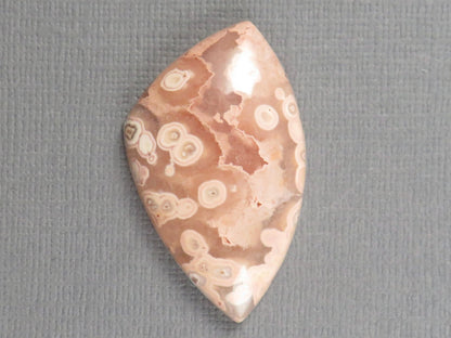 Crazy Lace Agate Cabochon | 36x22mm, 32.3ct | Indonesia | AG395 - Gem Enthusiast