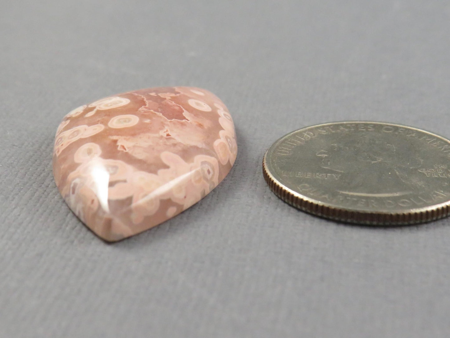 Crazy Lace Agate Cabochon | 36x22mm, 32.3ct | Indonesia | AG395 - Gem Enthusiast