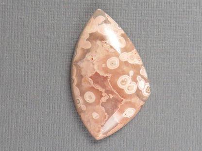 Crazy Lace Agate Cabochon | 36x22mm, 32.3ct | Indonesia | AG395 - Gem Enthusiast