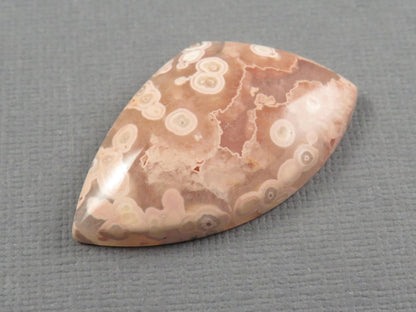 Crazy Lace Agate Cabochon | 36x22mm, 32.3ct | Indonesia | AG395 - Gem Enthusiast