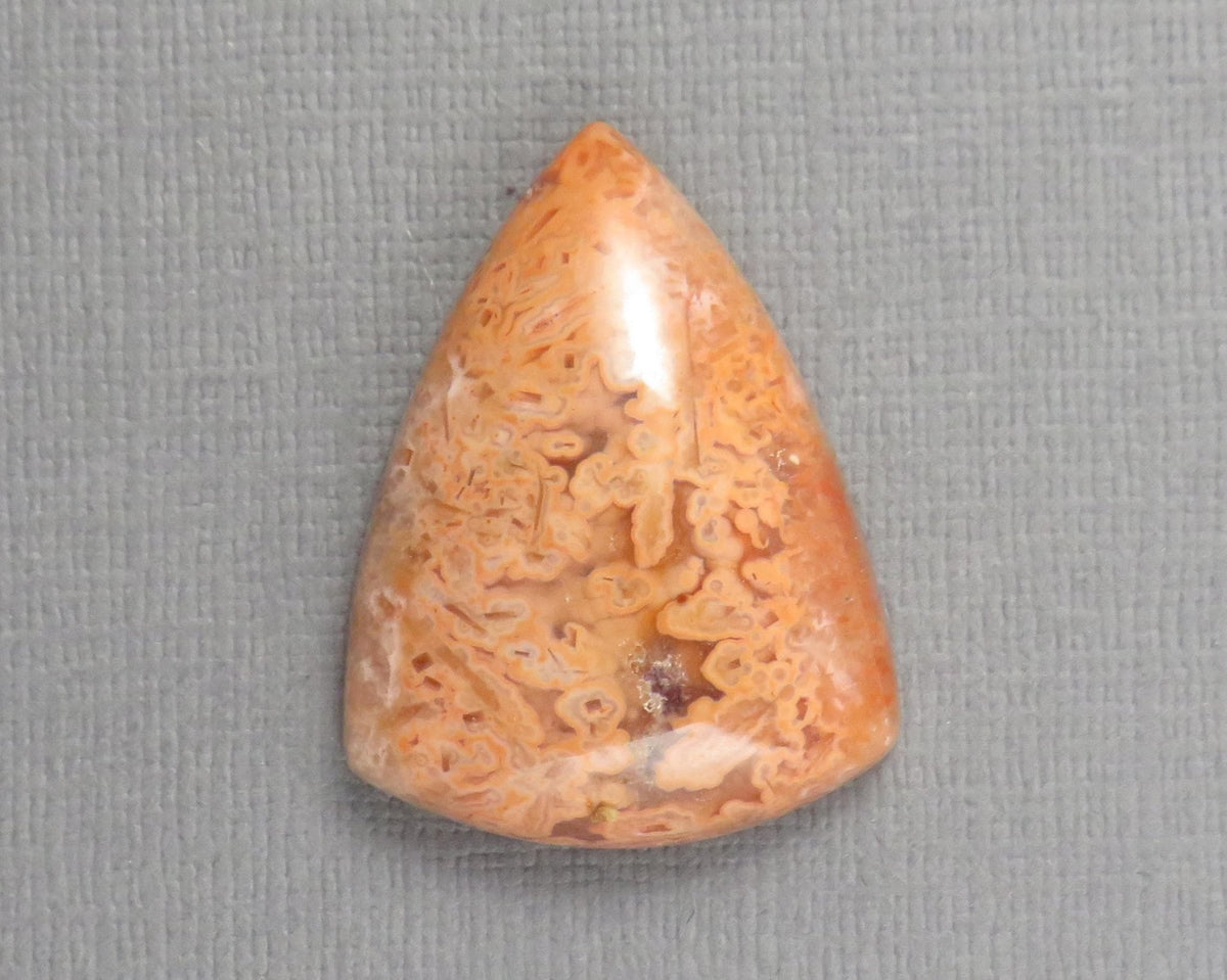Crazy Lace Agate Cabochon Lot | 29–38mm, avg 35ct | 3-Stone Lot | Indonesia | AG401 - Gem Enthusiast