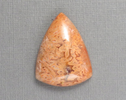 Crazy Lace Agate Cabochon Lot | 29–38mm, avg 35ct | 3-Stone Lot | Indonesia | AG401 - Gem Enthusiast