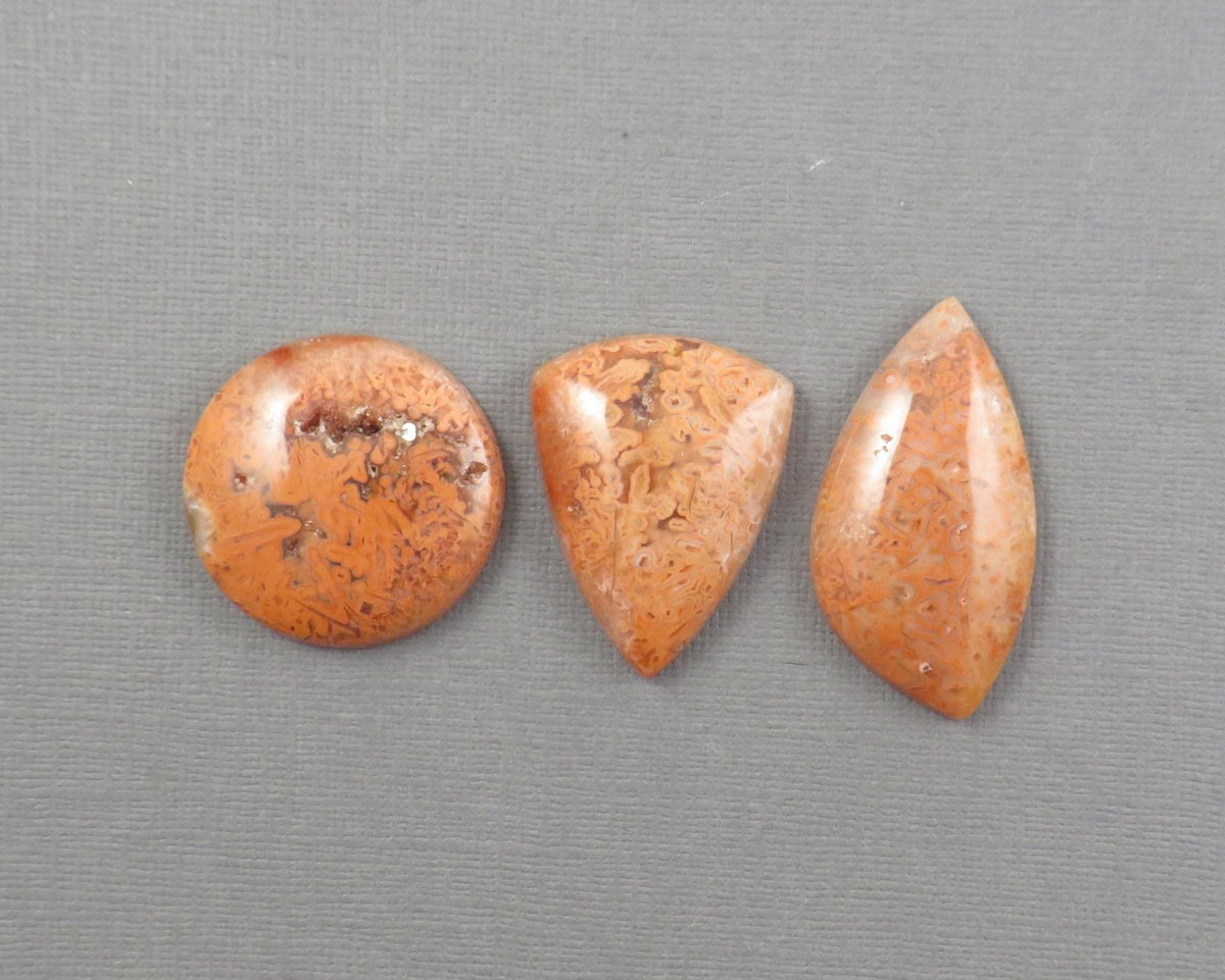 Crazy Lace Agate Cabochon Lot | 29–38mm, avg 35ct | 3-Stone Lot | Indonesia | AG401 - Gem Enthusiast