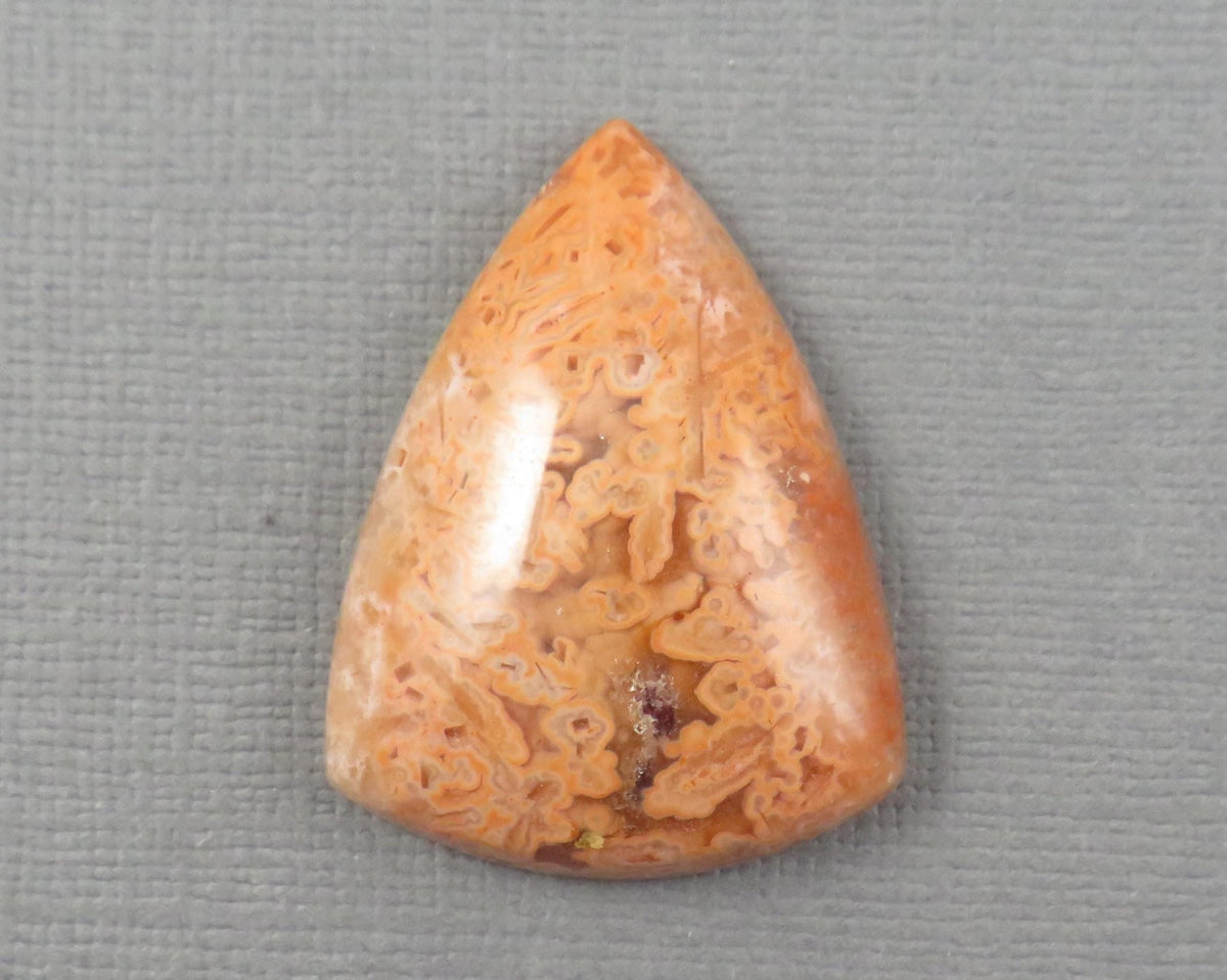 Crazy Lace Agate Cabochon Lot | 29–38mm, avg 35ct | 3-Stone Lot | Indonesia | AG401 - Gem Enthusiast