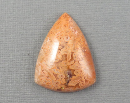 Crazy Lace Agate Cabochon Lot | 29–38mm, avg 35ct | 3-Stone Lot | Indonesia | AG401 - Gem Enthusiast