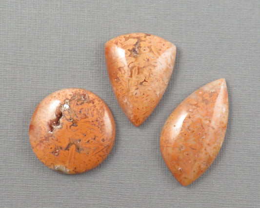 Crazy Lace Agate Cabochon Lot | 29–38mm, avg 35ct | 3-Stone Lot | Indonesia | AG401 - Gem Enthusiast