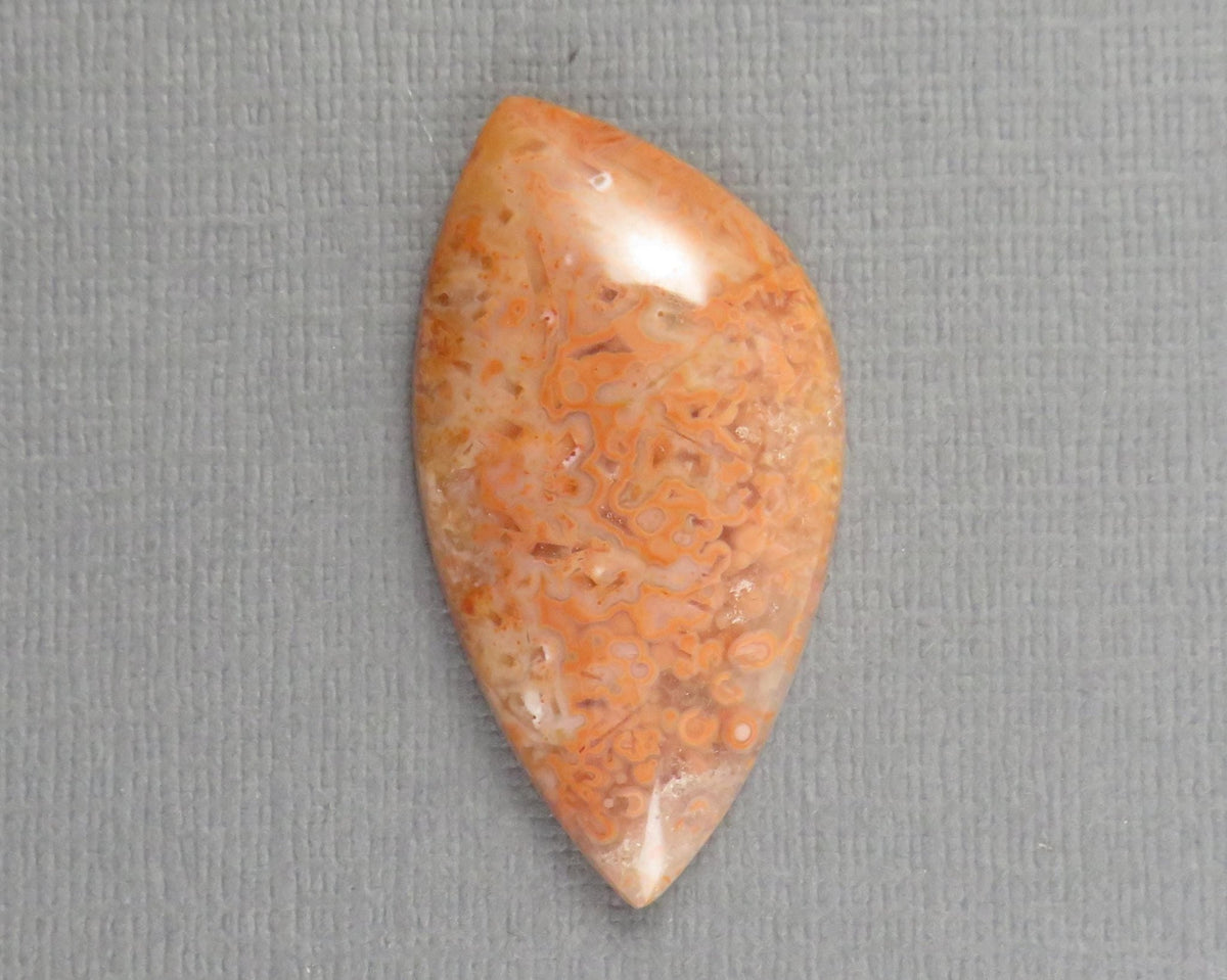 Crazy Lace Agate Cabochon Lot | 29–38mm, avg 35ct | 3-Stone Lot | Indonesia | AG401 - Gem Enthusiast