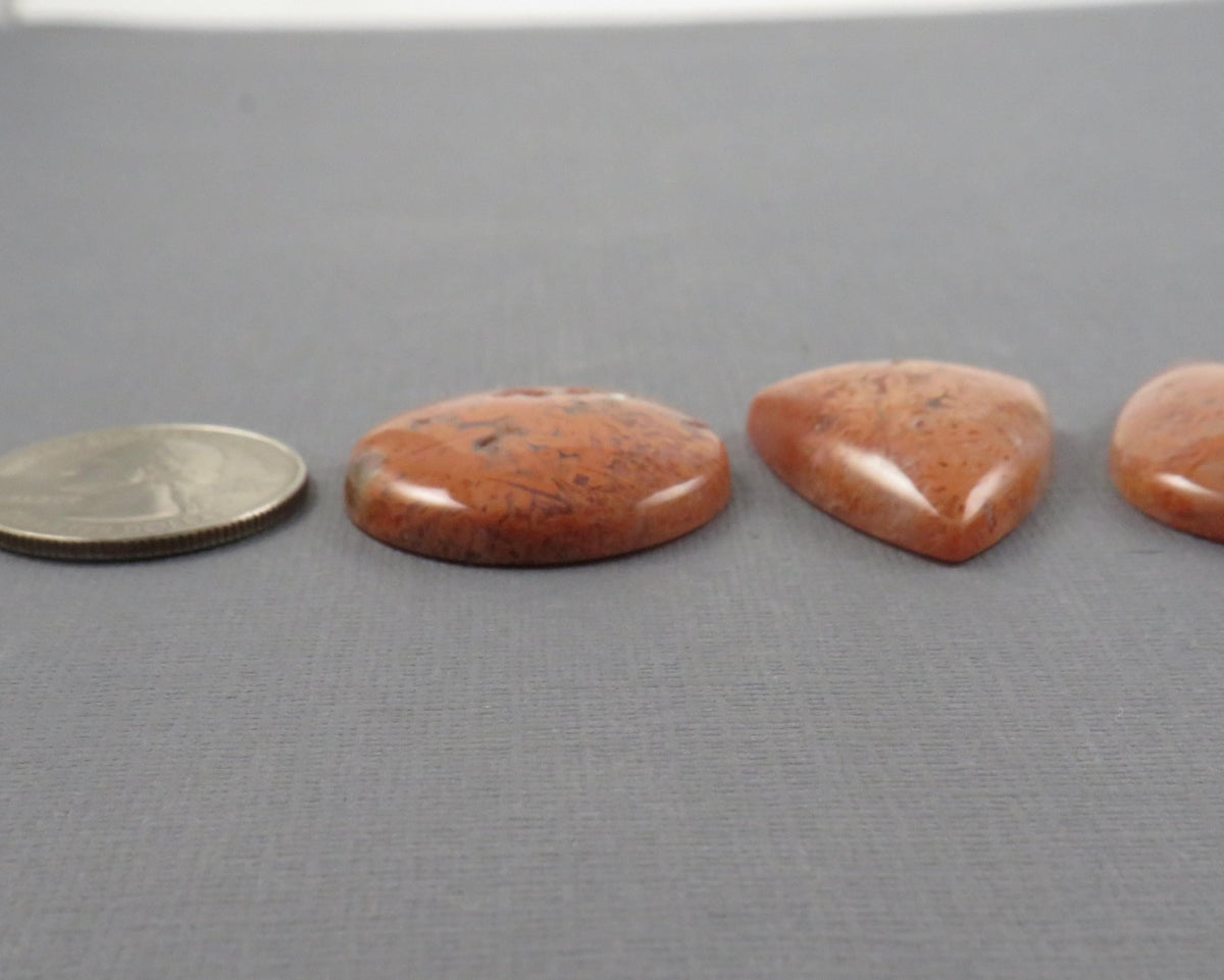 Crazy Lace Agate Cabochon Lot | 29–38mm, avg 35ct | 3-Stone Lot | Indonesia | AG401 - Gem Enthusiast