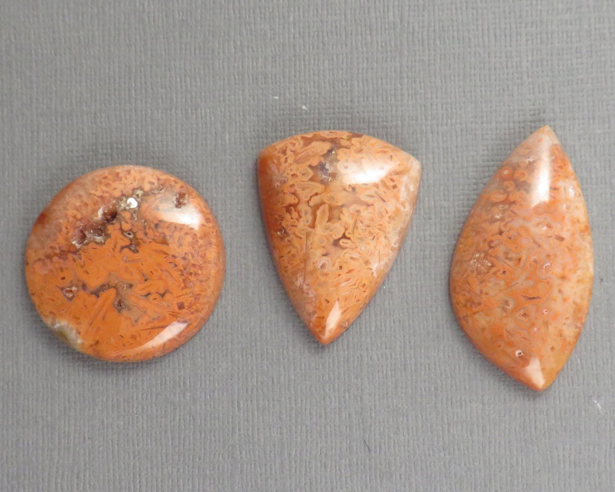 Crazy Lace Agate Cabochon Lot | 29–38mm, avg 35ct | 3-Stone Lot | Indonesia | AG401 - Gem Enthusiast