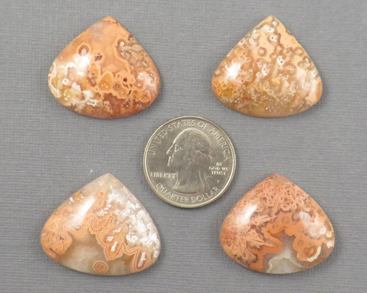 Crazy Lace Agate Cabochon Teardrop| Sold Per Stone | 26mm, avg 33ct | Indonesia | AG399 - Gem Enthusiast