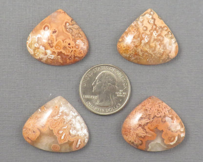 Crazy Lace Agate Cabochon Teardrop| Sold Per Stone | 26mm, avg 33ct | Indonesia | AG399 - Gem Enthusiast