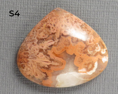 Crazy Lace Agate Cabochon Teardrop| Sold Per Stone | 26mm, avg 33ct | Indonesia | AG399 - Gem Enthusiast