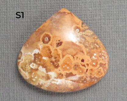 Crazy Lace Agate Cabochon Teardrop| Sold Per Stone | 26mm, avg 33ct | Indonesia | AG399 - Gem Enthusiast