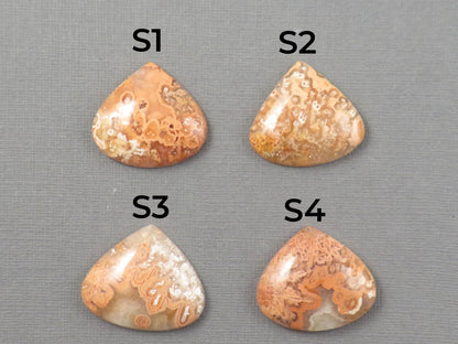 Crazy Lace Agate Cabochon Teardrop| Sold Per Stone | 26mm, avg 33ct | Indonesia | AG399 - Gem Enthusiast