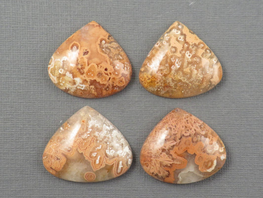 Crazy Lace Agate Cabochon Teardrop| Sold Per Stone | 26mm, avg 33ct | Indonesia | AG399 - Gem Enthusiast