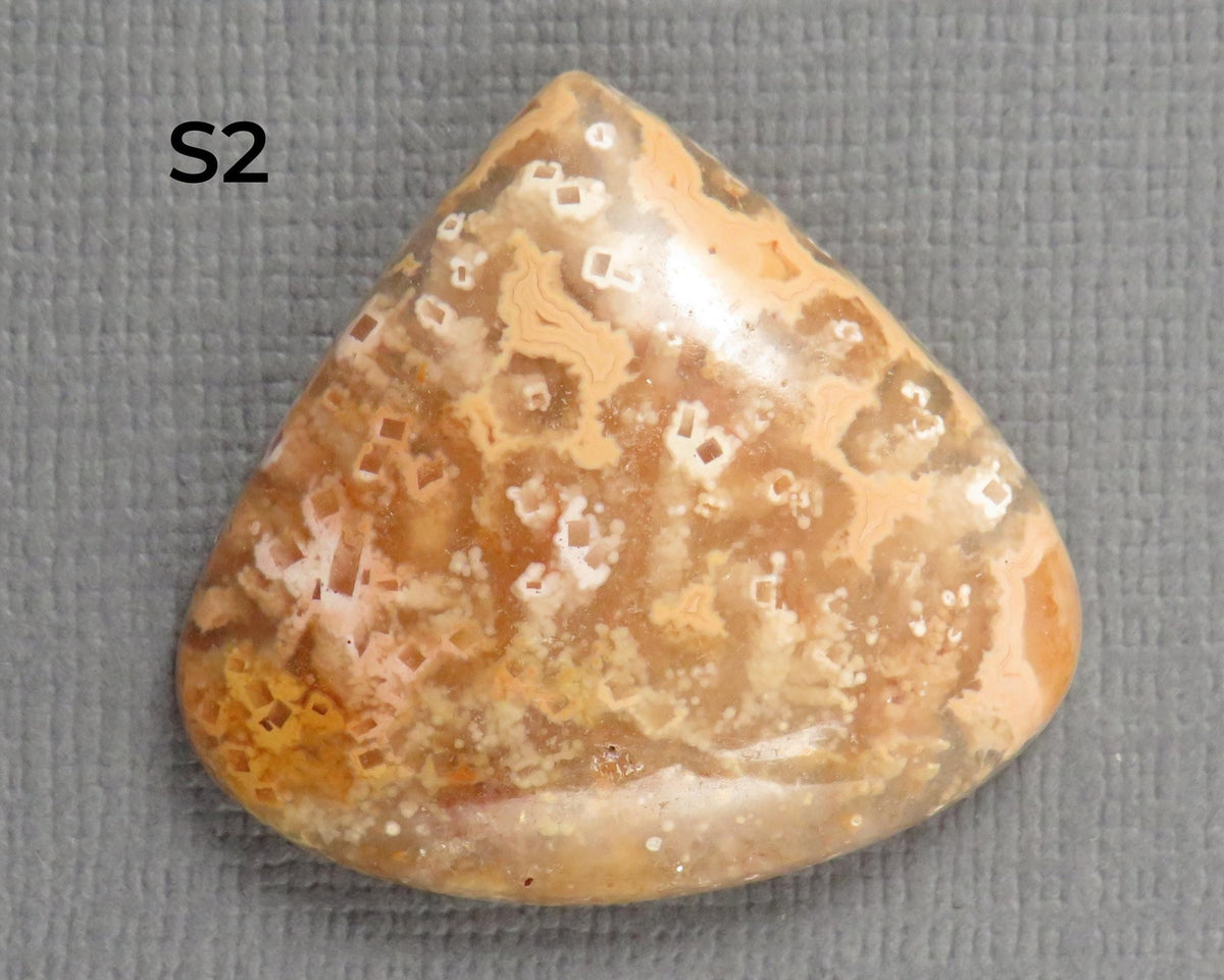 Crazy Lace Agate Cabochon Teardrop| Sold Per Stone | 26mm, avg 33ct | Indonesia | AG399 - Gem Enthusiast