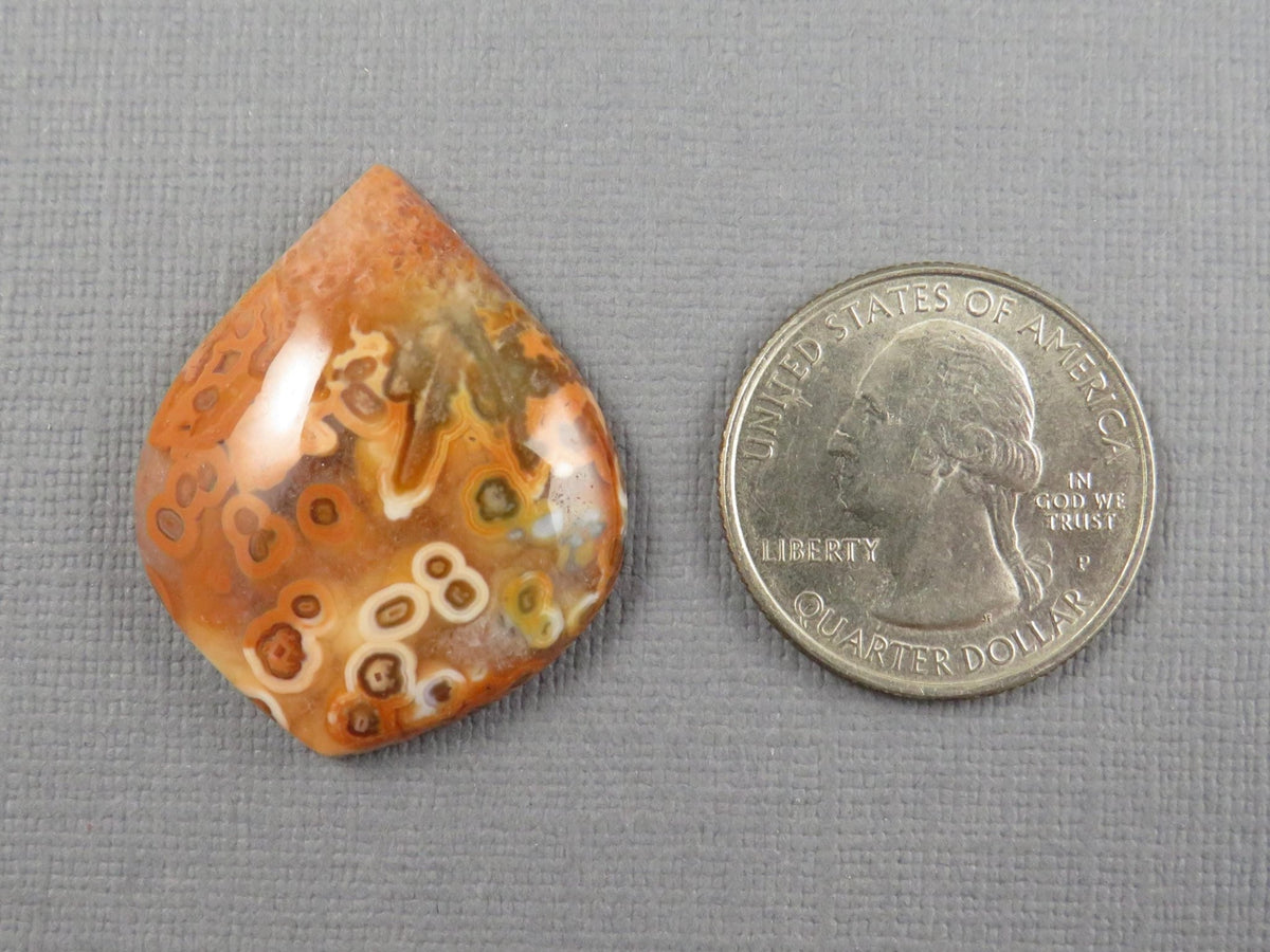 Crazy Lace Agate Teardrop Cabochon, Natural Untreated Stone, 33x27mm | AG408 - Gem Enthusiast