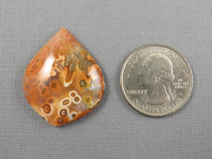 Crazy Lace Agate Teardrop Cabochon, Natural Untreated Stone, 33x27mm | AG408 - Gem Enthusiast