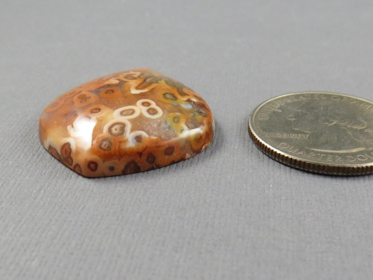Crazy Lace Agate Teardrop Cabochon, Natural Untreated Stone, 33x27mm | AG408 - Gem Enthusiast