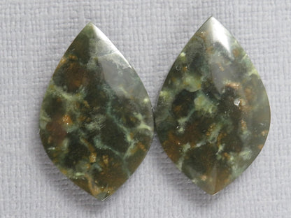 Dark Green Green Fossilized Coral Teardrop Pair | Earring Cabochons | 27x17mm, 14ct | Indonesia | FC117 - Gem Enthusiast