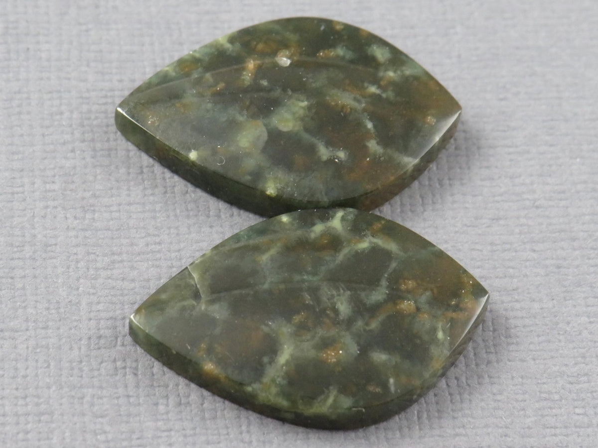 Dark Green Green Fossilized Coral Teardrop Pair | Earring Cabochons | 27x17mm, 14ct | Indonesia | FC117 - Gem Enthusiast