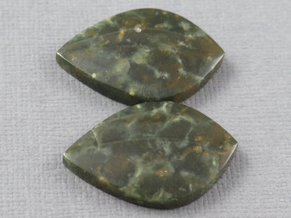 Dark Green Green Fossilized Coral Teardrop Pair | Earring Cabochons | 27x17mm, 14ct | Indonesia | FC117 - Gem Enthusiast