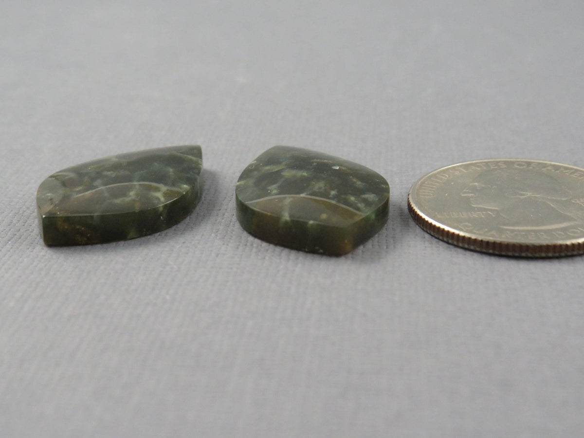 Dark Green Green Fossilized Coral Teardrop Pair | Earring Cabochons | 27x17mm, 14ct | Indonesia | FC117 - Gem Enthusiast