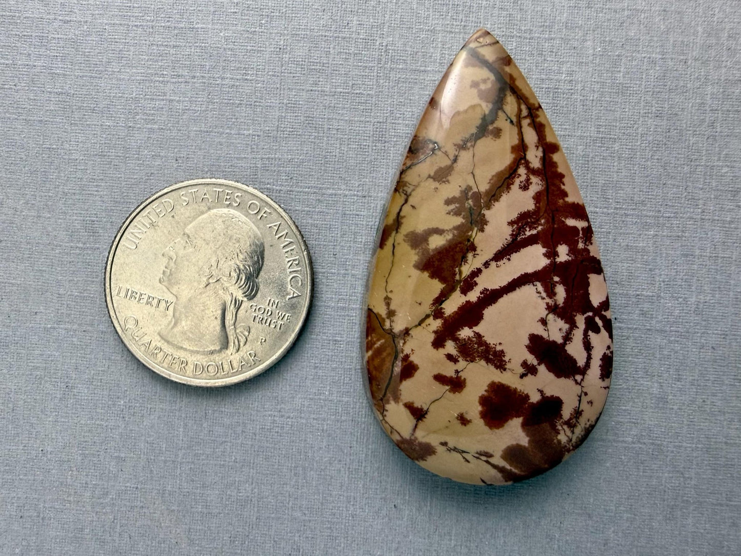 Dead Camel Jasper | American Gemstone Cabochon from Nevada | JS346 - Gem Enthusiast