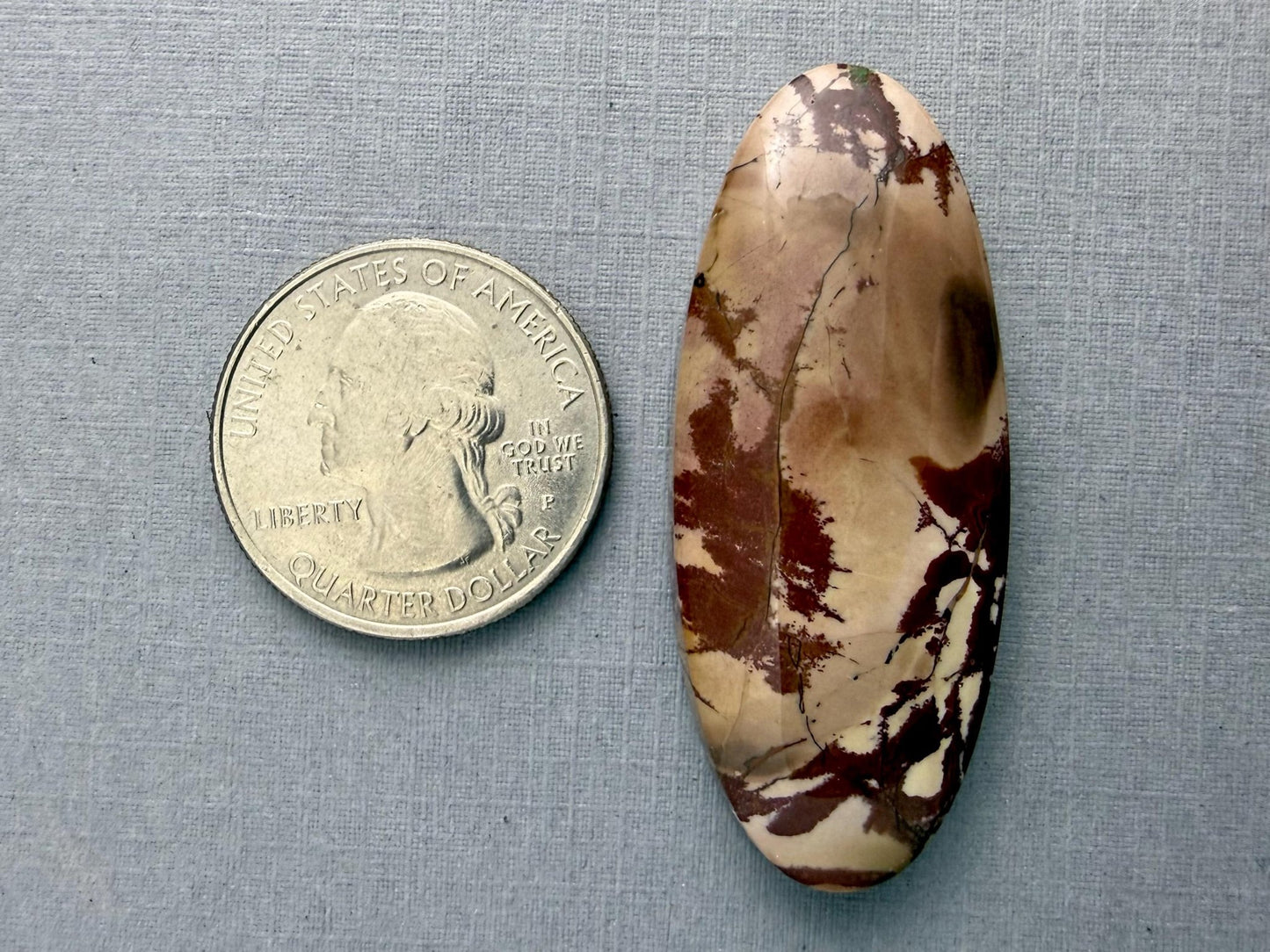 Dead Camel Jasper | American Gemstone Cabochon from Nevada | JS346 - Gem Enthusiast