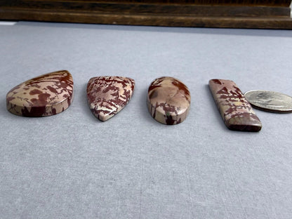 Dead Camel Jasper | American Gemstone Cabochon from Nevada | JS346 - Gem Enthusiast