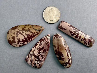 Dead Camel Jasper | American Gemstone Cabochon from Nevada | JS346 - Gem Enthusiast