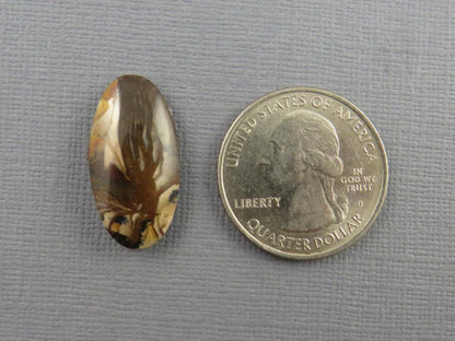 Deschutes Biggs Jasper from Oregon | Mined in the USA | 23x12 mm | JS410 - Gem Enthusiast