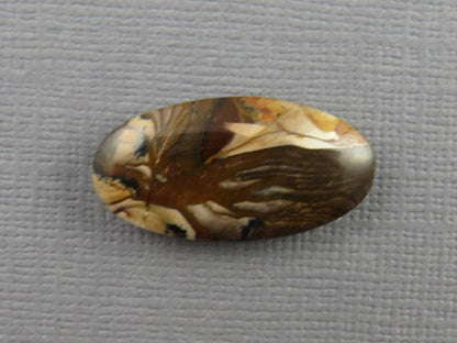 Deschutes Biggs Jasper from Oregon | Mined in the USA | 23x12 mm | JS410 - Gem Enthusiast