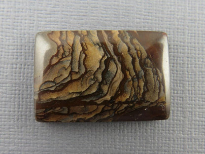 Deschutes Biggs Jasper from Oregon | Mined in the USA | JS407 - Gem Enthusiast