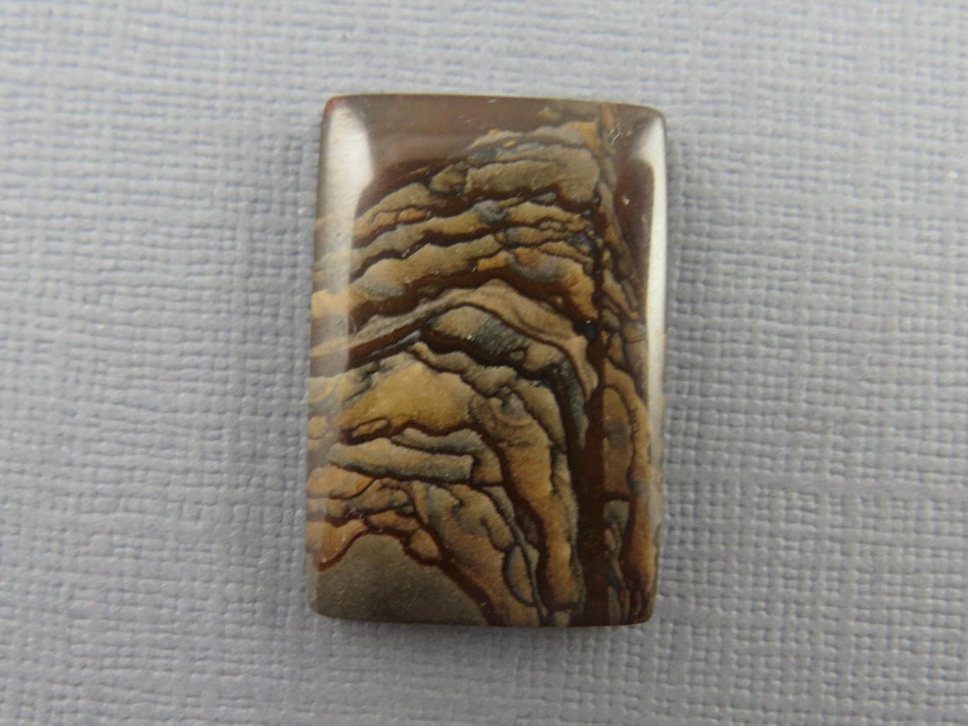 Deschutes Biggs Jasper from Oregon | Mined in the USA | JS407 - Gem Enthusiast