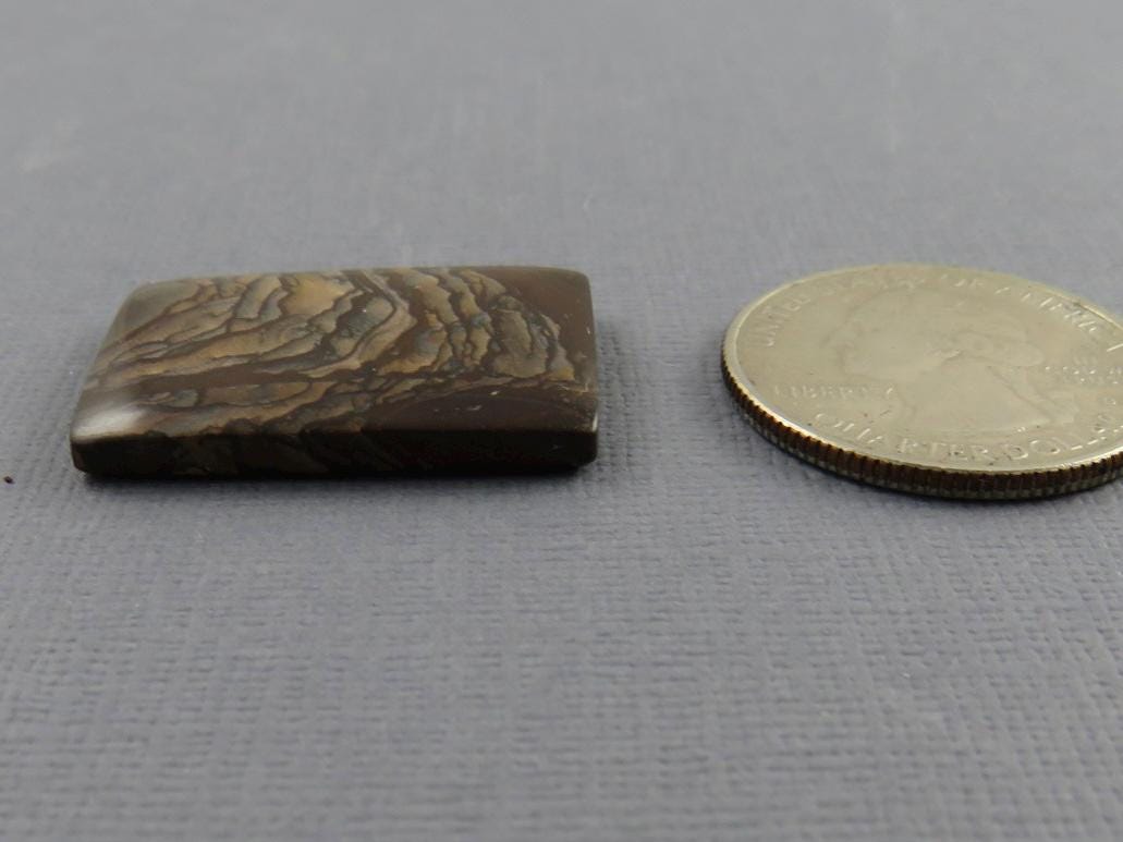 Deschutes Biggs Jasper from Oregon | Mined in the USA | JS407 - Gem Enthusiast