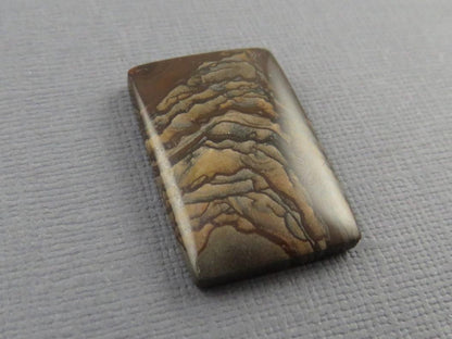 Deschutes Biggs Jasper from Oregon | Mined in the USA | JS407 - Gem Enthusiast