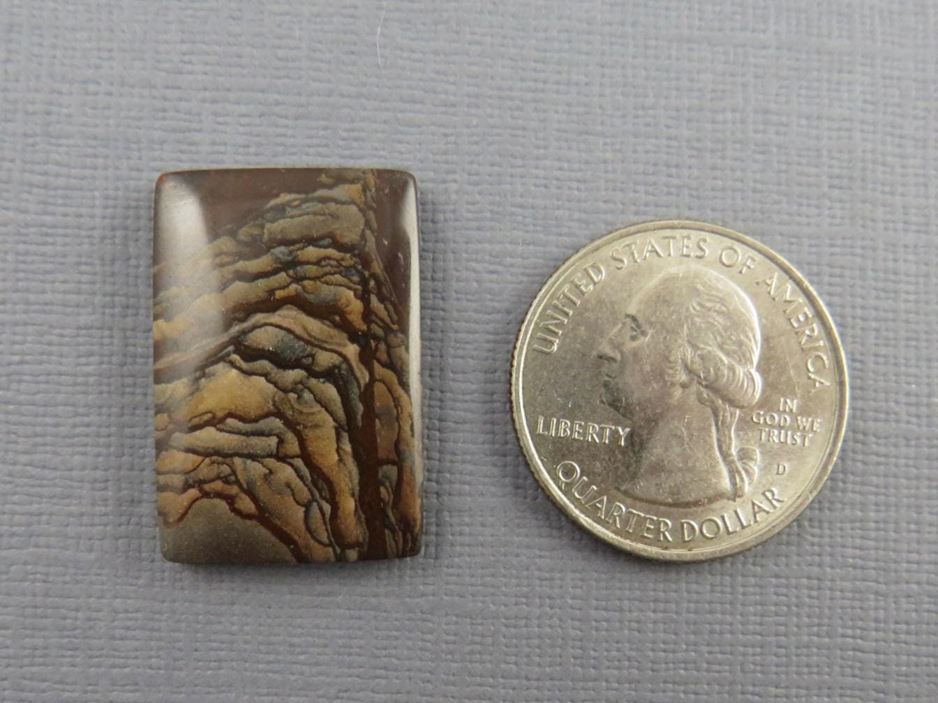 Deschutes Biggs Jasper from Oregon | Mined in the USA | JS407 - Gem Enthusiast