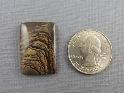 Deschutes Biggs Jasper from Oregon | Mined in the USA | JS407 - Gem Enthusiast