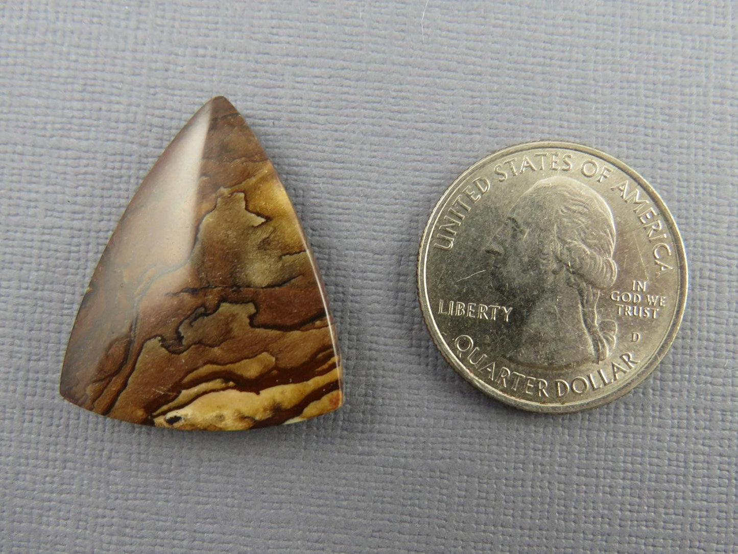 Deschutes Biggs Jasper from Oregon | Mined in the USA | JS408 - Gem Enthusiast