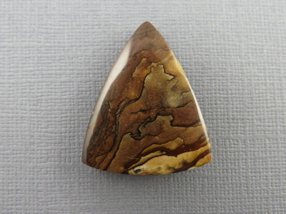 Deschutes Biggs Jasper from Oregon | Mined in the USA | JS408 - Gem Enthusiast