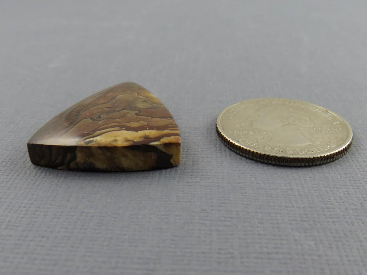 Deschutes Biggs Jasper from Oregon | Mined in the USA | JS408 - Gem Enthusiast