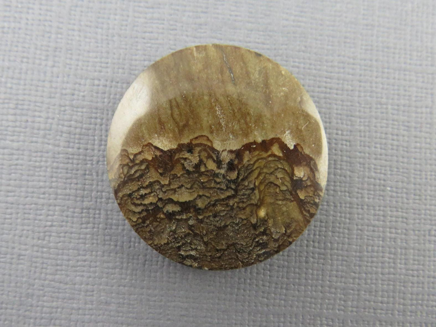 Deschutes Biggs Jasper from Oregon | Mined in the USA | JS409 - Gem Enthusiast
