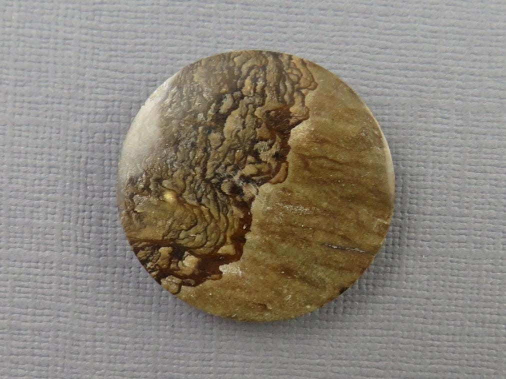 Deschutes Biggs Jasper from Oregon | Mined in the USA | JS409 - Gem Enthusiast