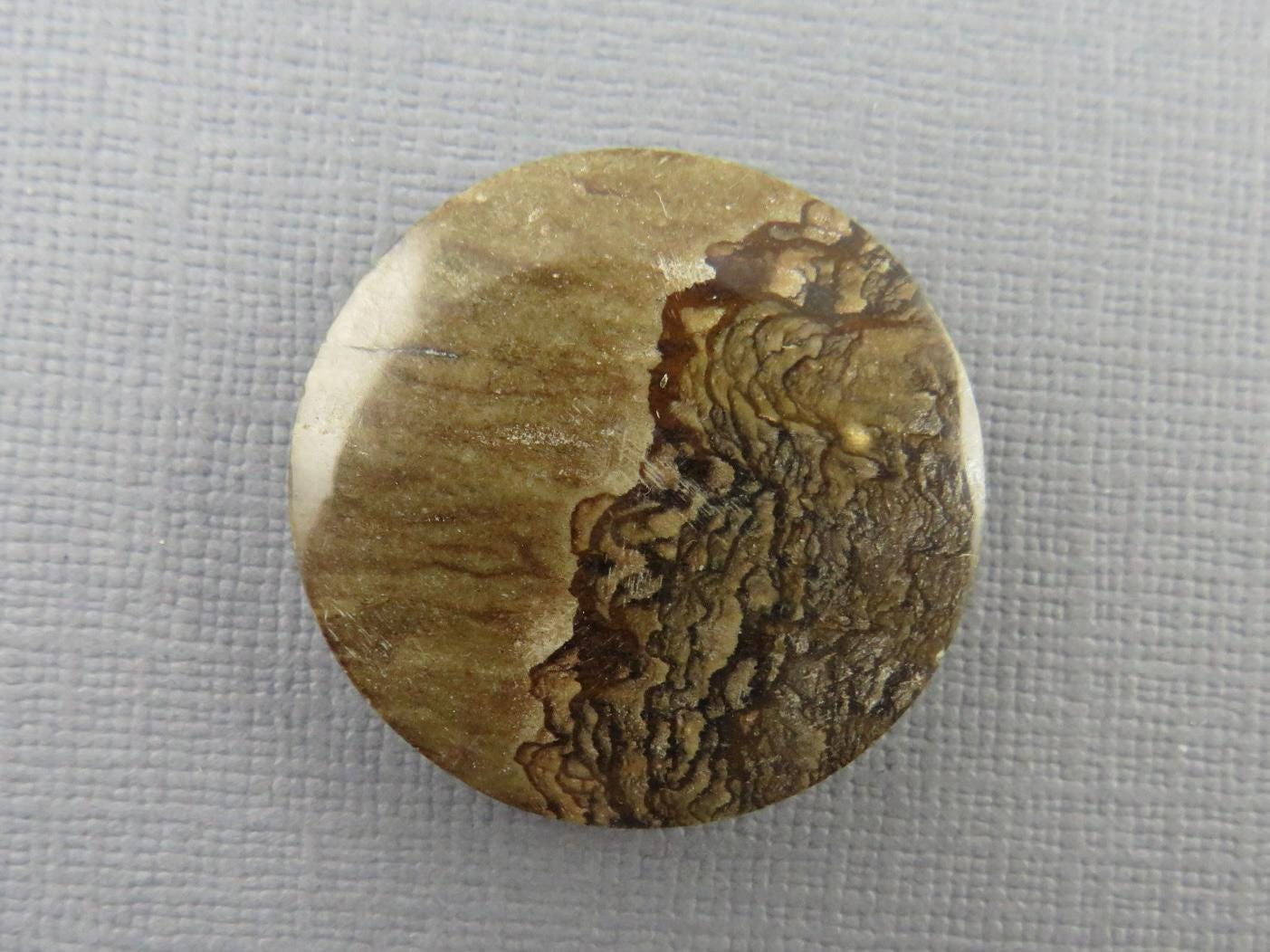 Deschutes Biggs Jasper from Oregon | Mined in the USA | JS409 - Gem Enthusiast