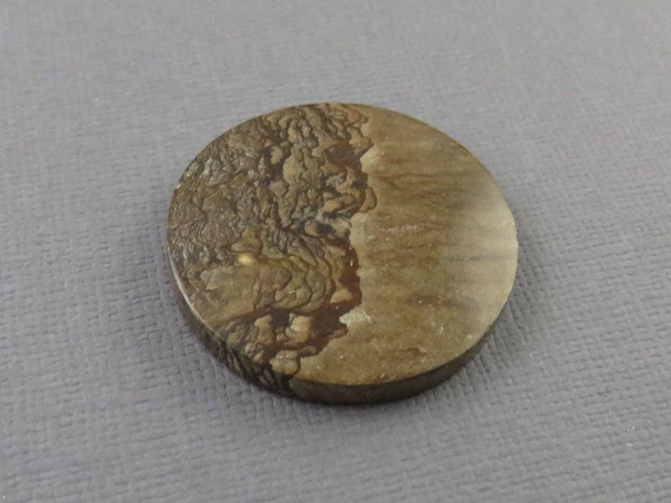 Deschutes Biggs Jasper from Oregon | Mined in the USA | JS409 - Gem Enthusiast