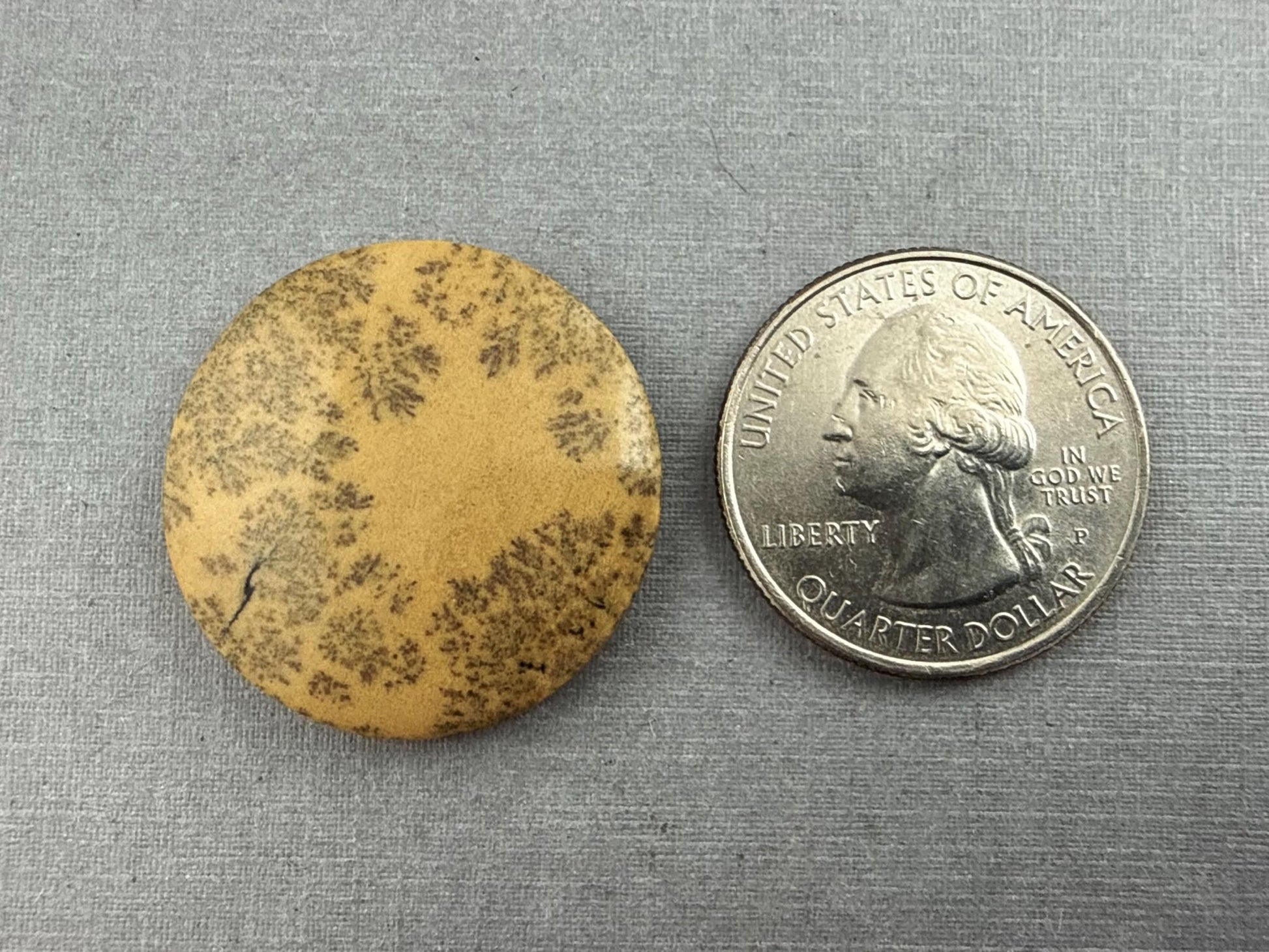 Deschutes Oregon Jasper Cabochon | Mined in the USA | JS334 - Gem Enthusiast